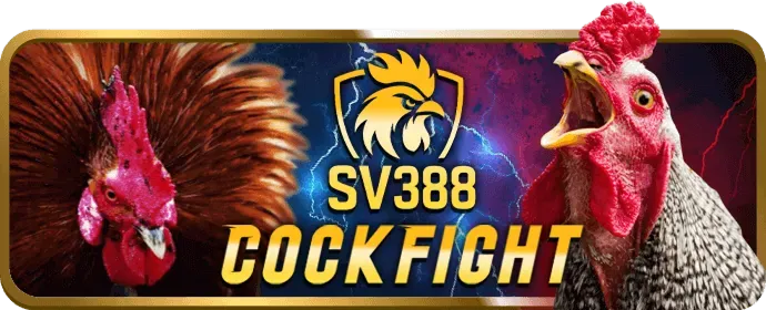 Hoàn trả cược thể thao 3king apk